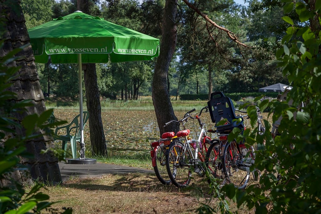 Vijver met vakantiehuisjes op 't Vosseven in Stramproy