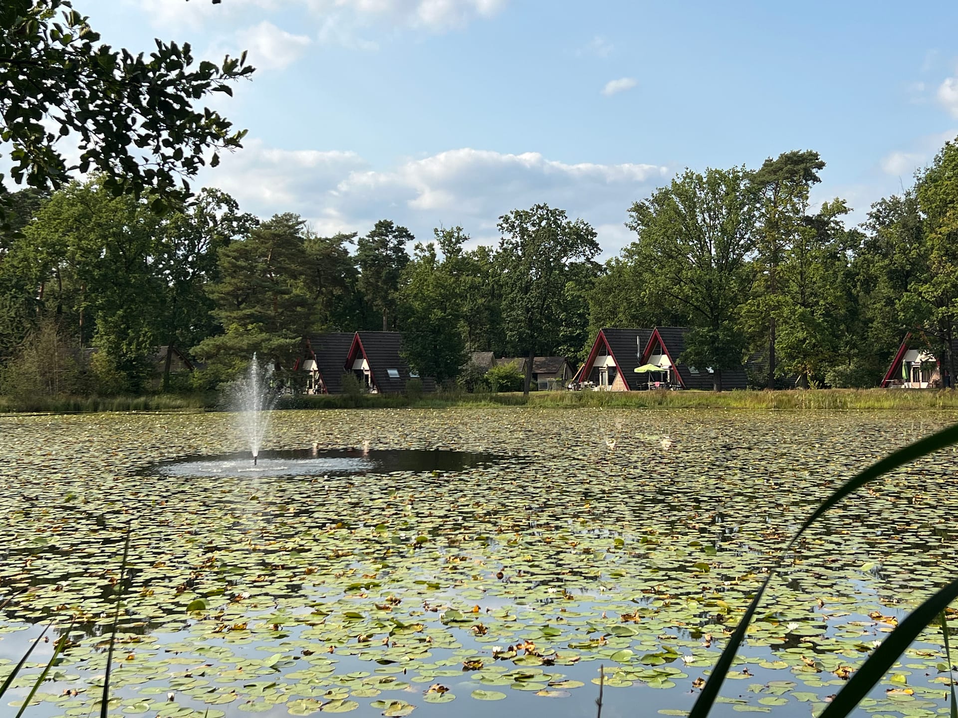 Vakantiehuizen op bungalowpark 't Vosseven in Stramproy
