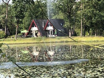 Vijver bij bungalow 52-53 - 't Vosseven Limburg