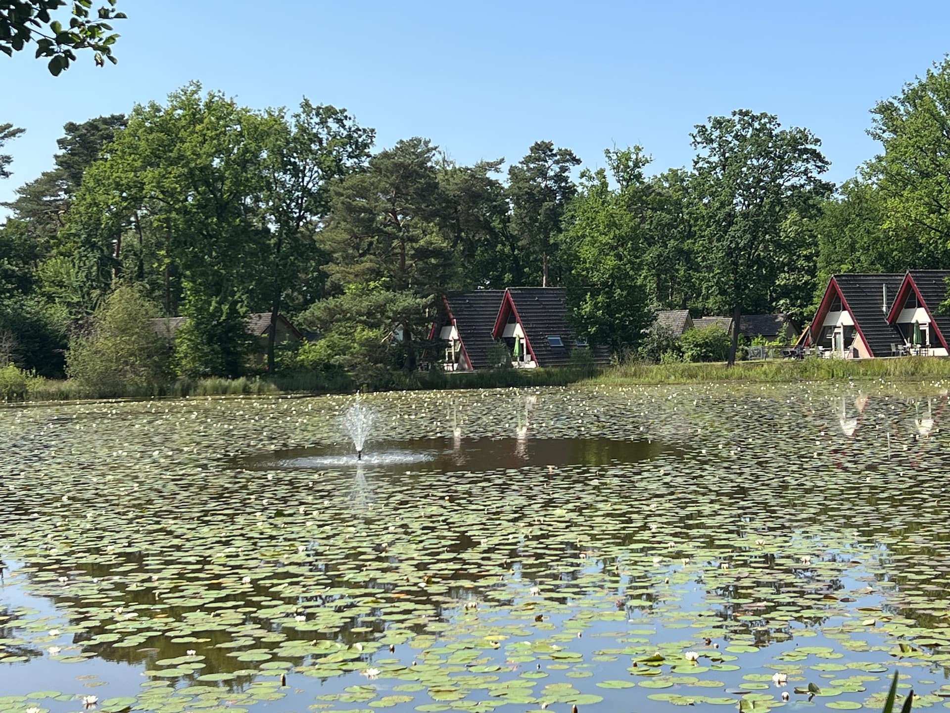 Bungalowpark Vosseven