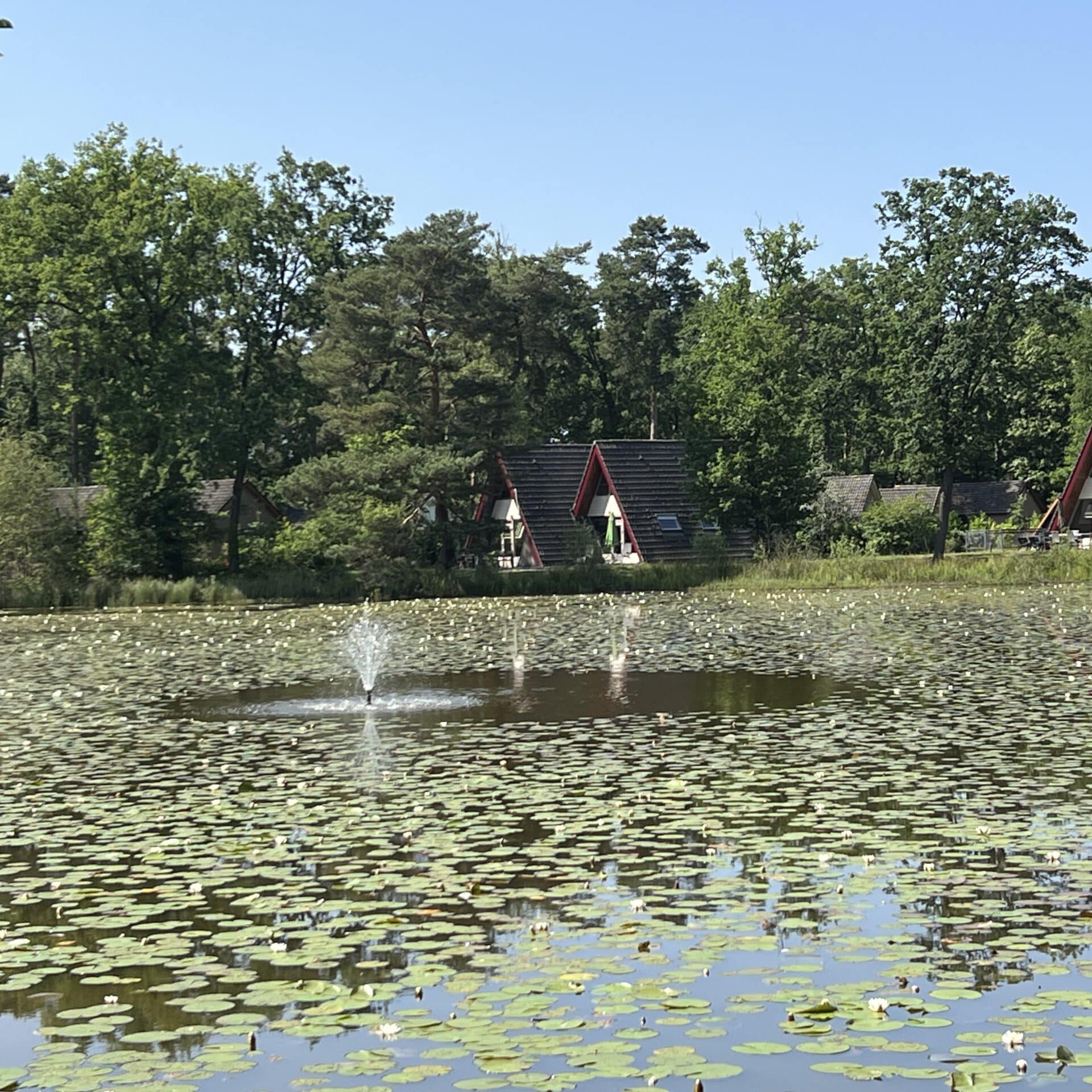 Bungalowpark 't Vosseven Stramproy